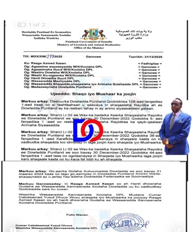 Poet Raage Ahmed Iro