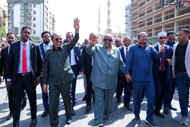Regional Leaders in Jigjiga