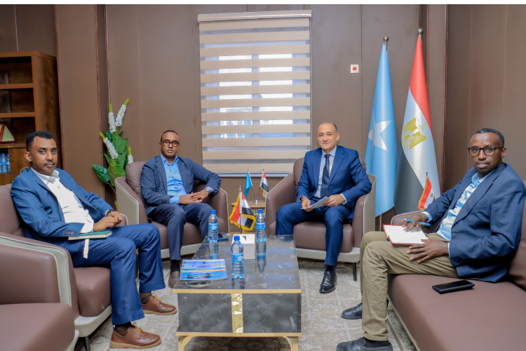 SoDMA Ambassador Egypt