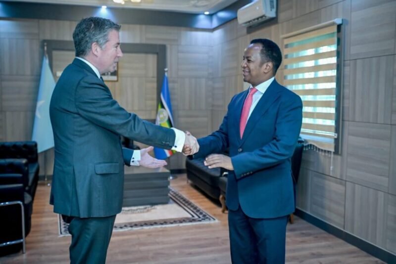 Turkiye and Somalia MFAs