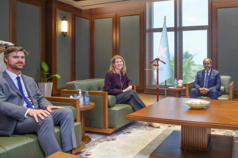 UK delegation Villa Somalia