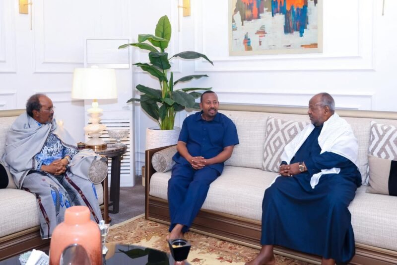 Djibouti Ethiopia and Somalia meeting