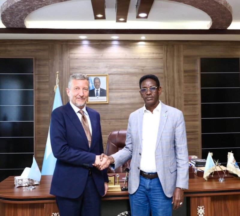 MoIS Minister Switzerland antiterrorism