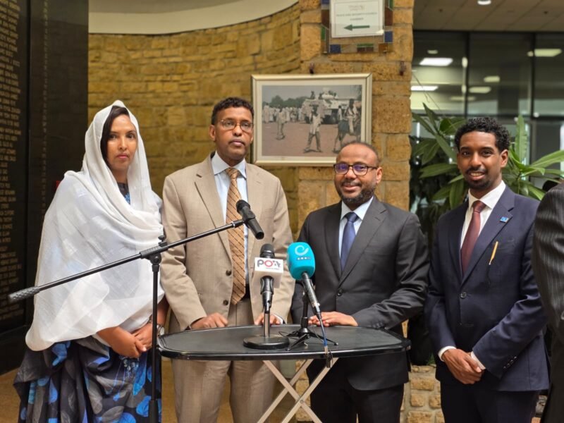 Somalia joins AU Peace