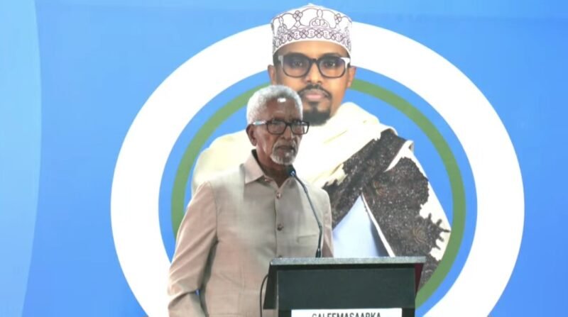 Speaker Senate Abdi Hashi