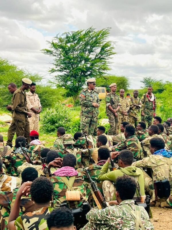 Deputy Commander SNA