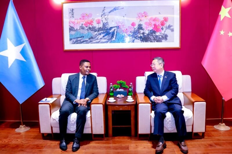 Minister of Information Chinese Ambassador