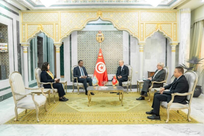 Somali Ambassador Tunis