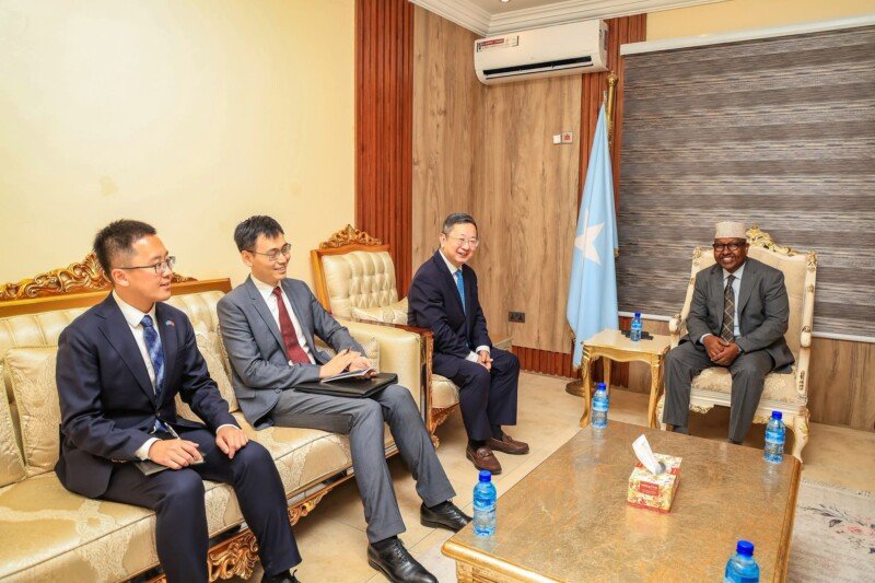 Minister of Defence Fiqi Chinese delegation