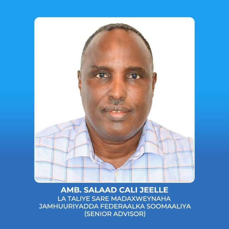 Salaad Cali Jeelle Appointment