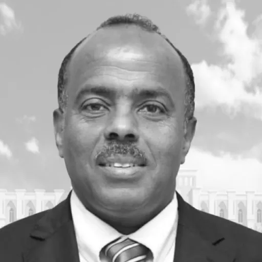 Somali MFA State Minister Ali Balcad