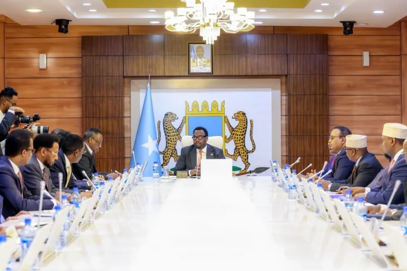 Cabinet chaired by deputy PM