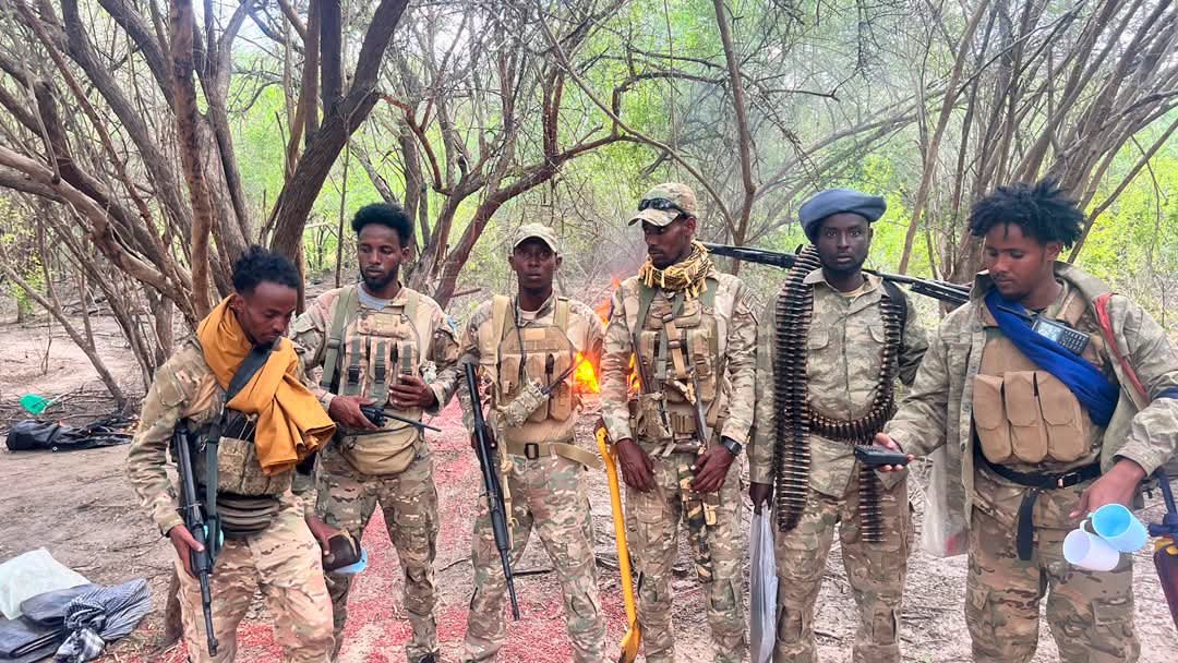 DANAB Jubaland Alshab bases