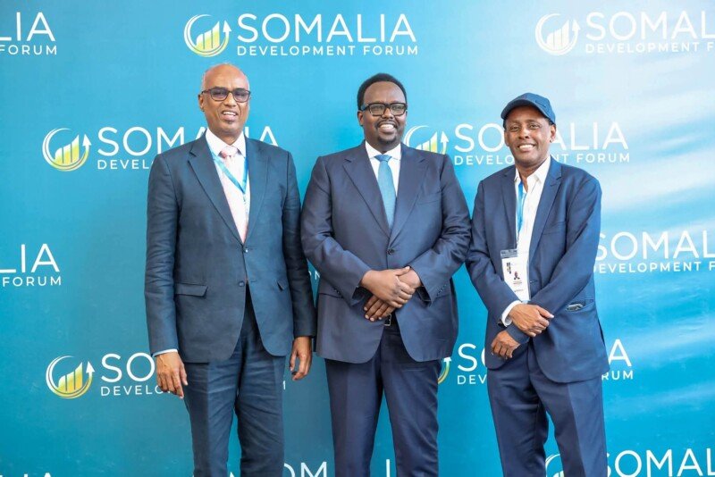 Deputy PM Jama Somalia Development