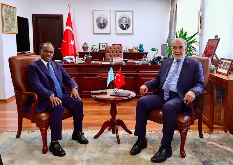 Ministers of State Turkiye