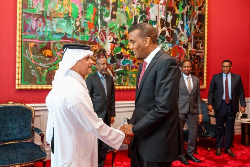PM Hamza visit Qatar