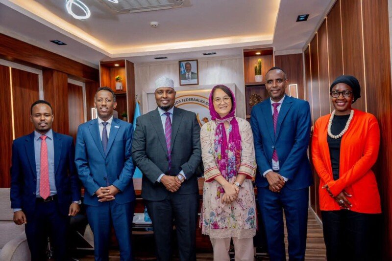 Minister of Planning WHO meeting