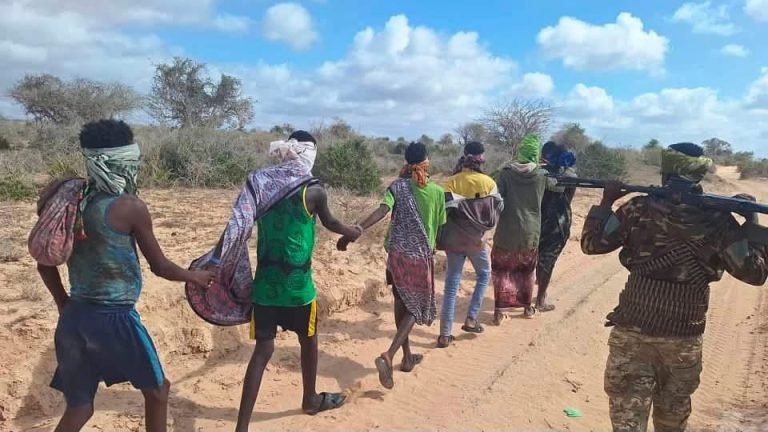 Shabelle Al Shabaab operation