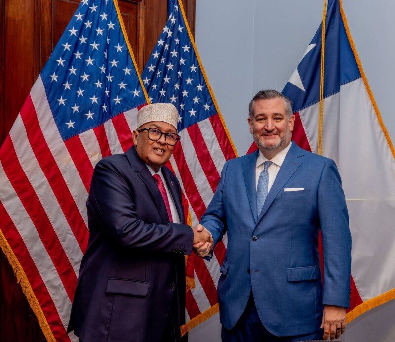 Ted Cruz Somaliland