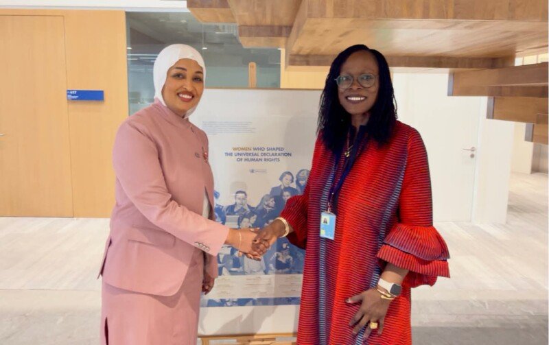 Somalia Human Rights and OHCHR